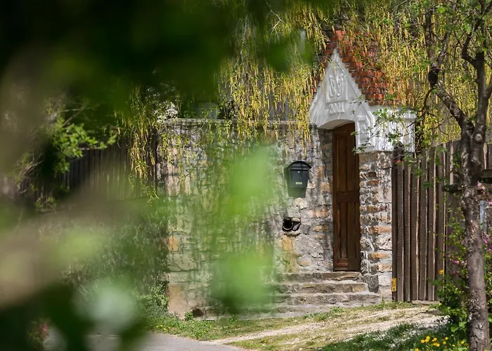 Kali Ko 센드베칼러